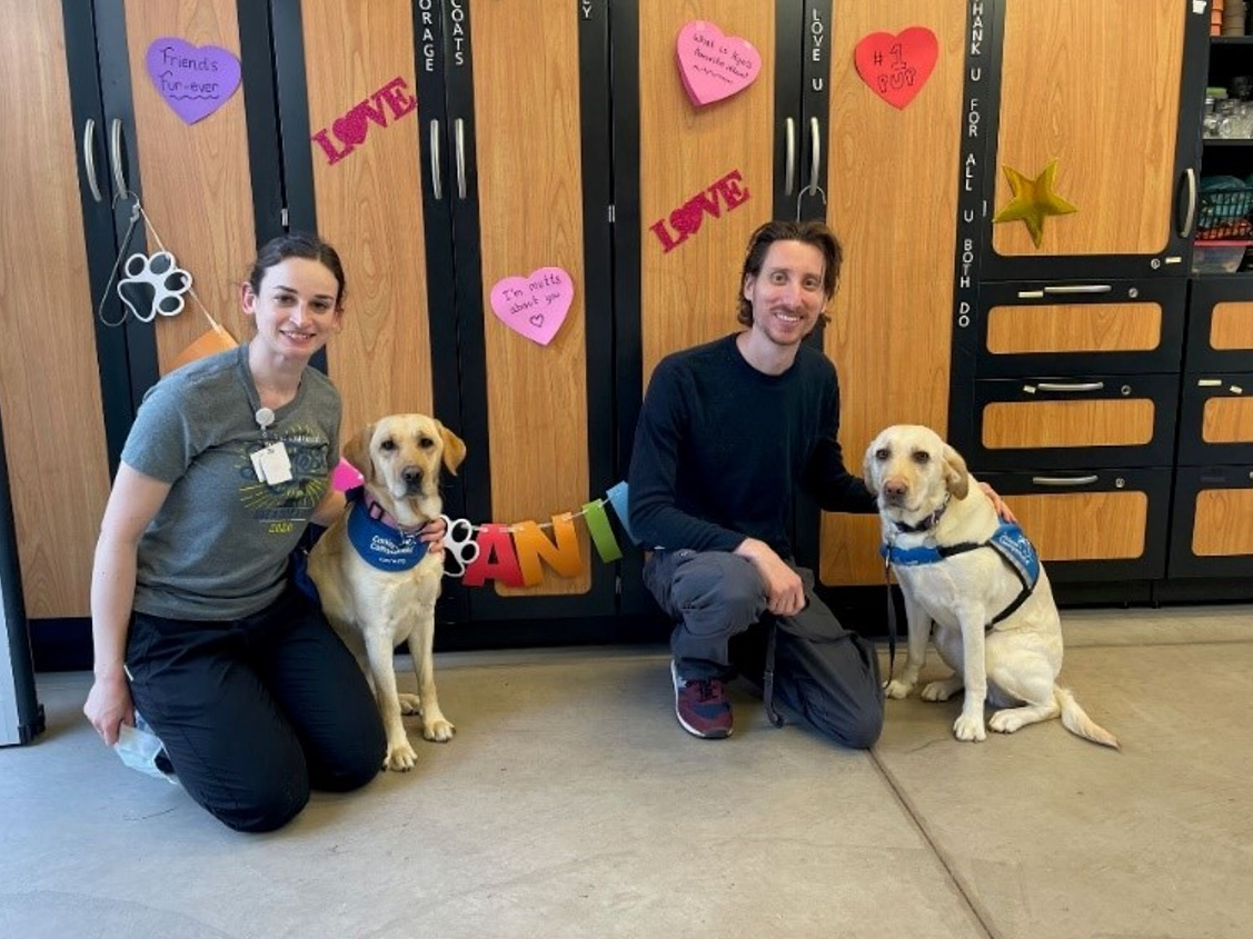 Therapy dogs Kya, a yellow lab, and Bayley, a golden retriever lab mix, sitting beside their handlers.